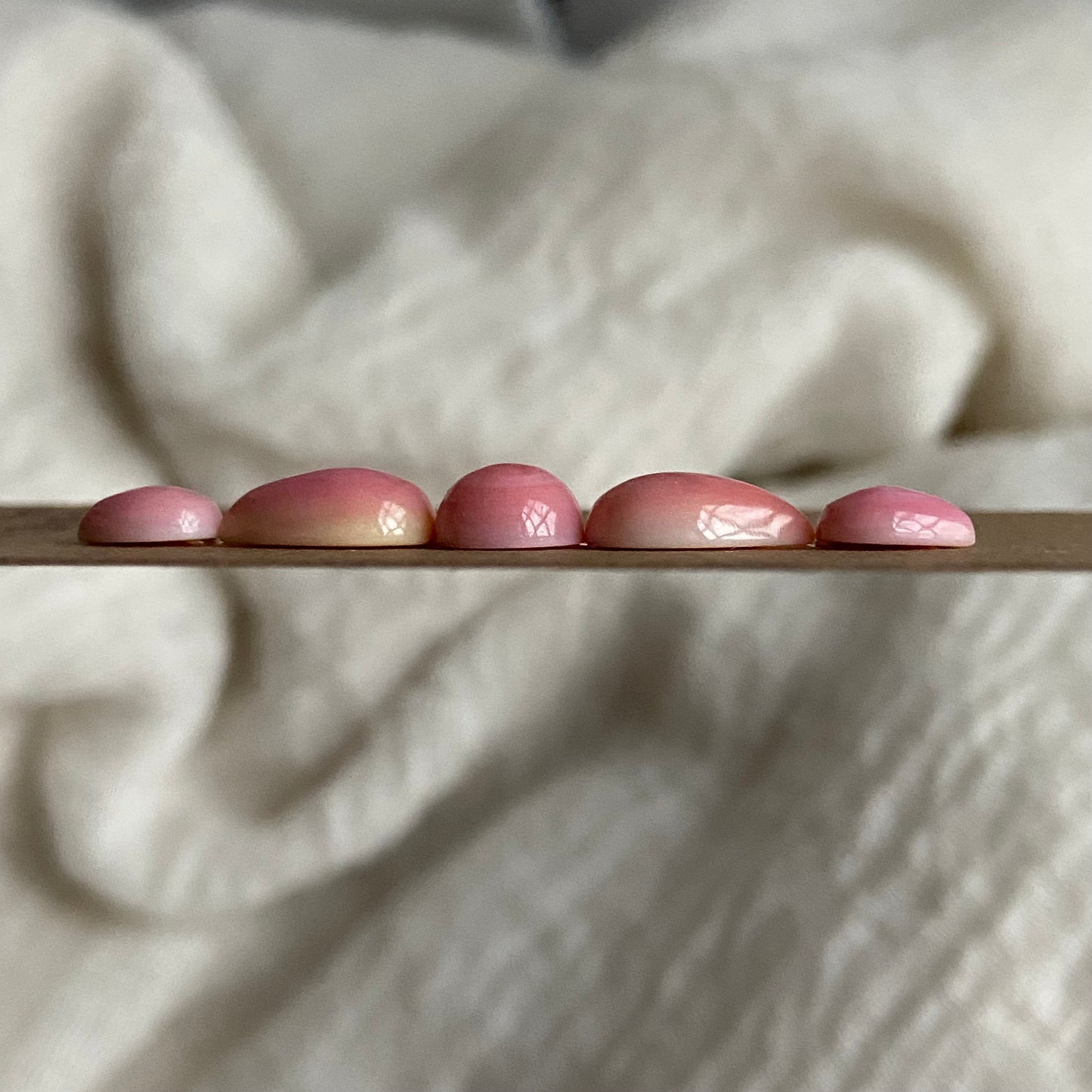 Pink Conch Cabochon - PC23