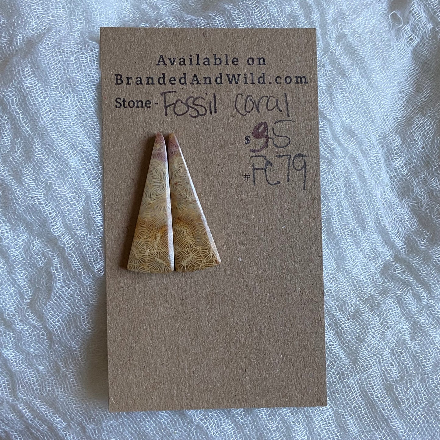 Fossil Coral Cabochon - FC79