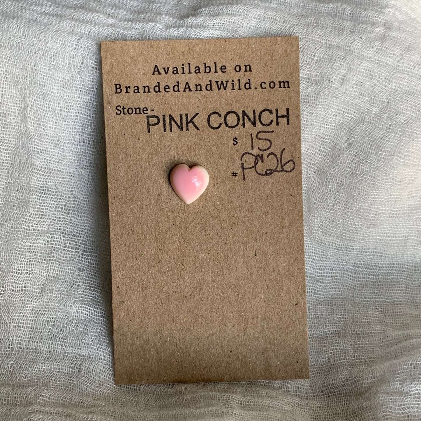 Pink Conch Cabochon - PC26