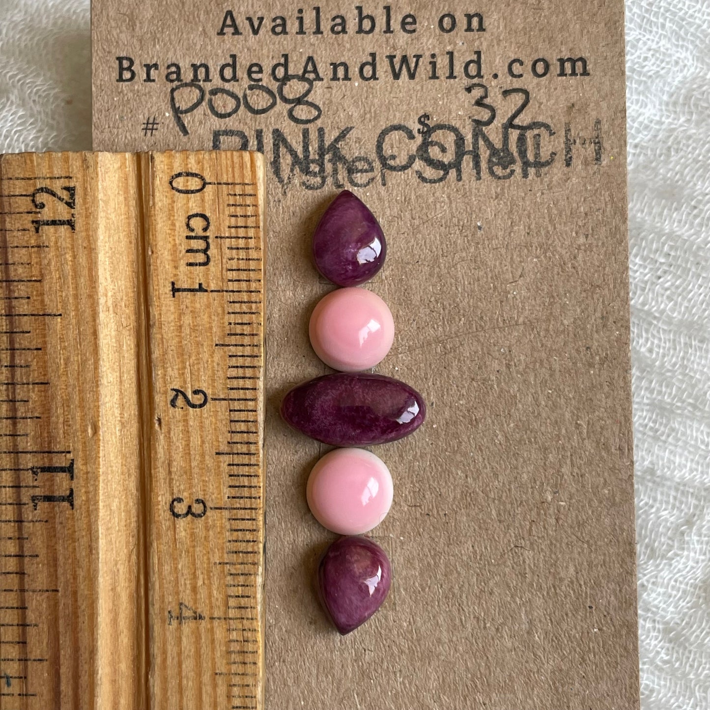 Pink Conch / Oyster Shell Cabochon - P008