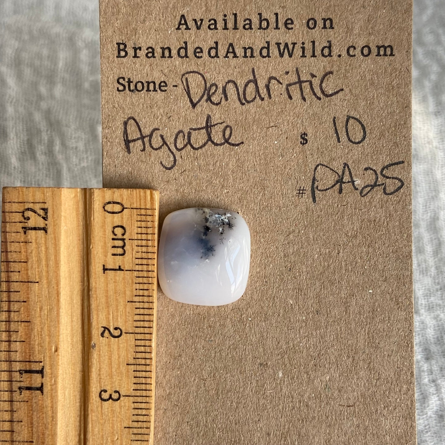 Dendritic Agate Cabochon - DA25