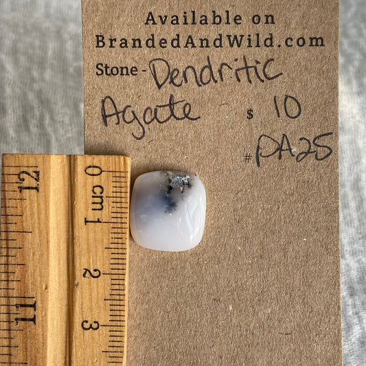 Dendritic Agate Cabochon - DA25