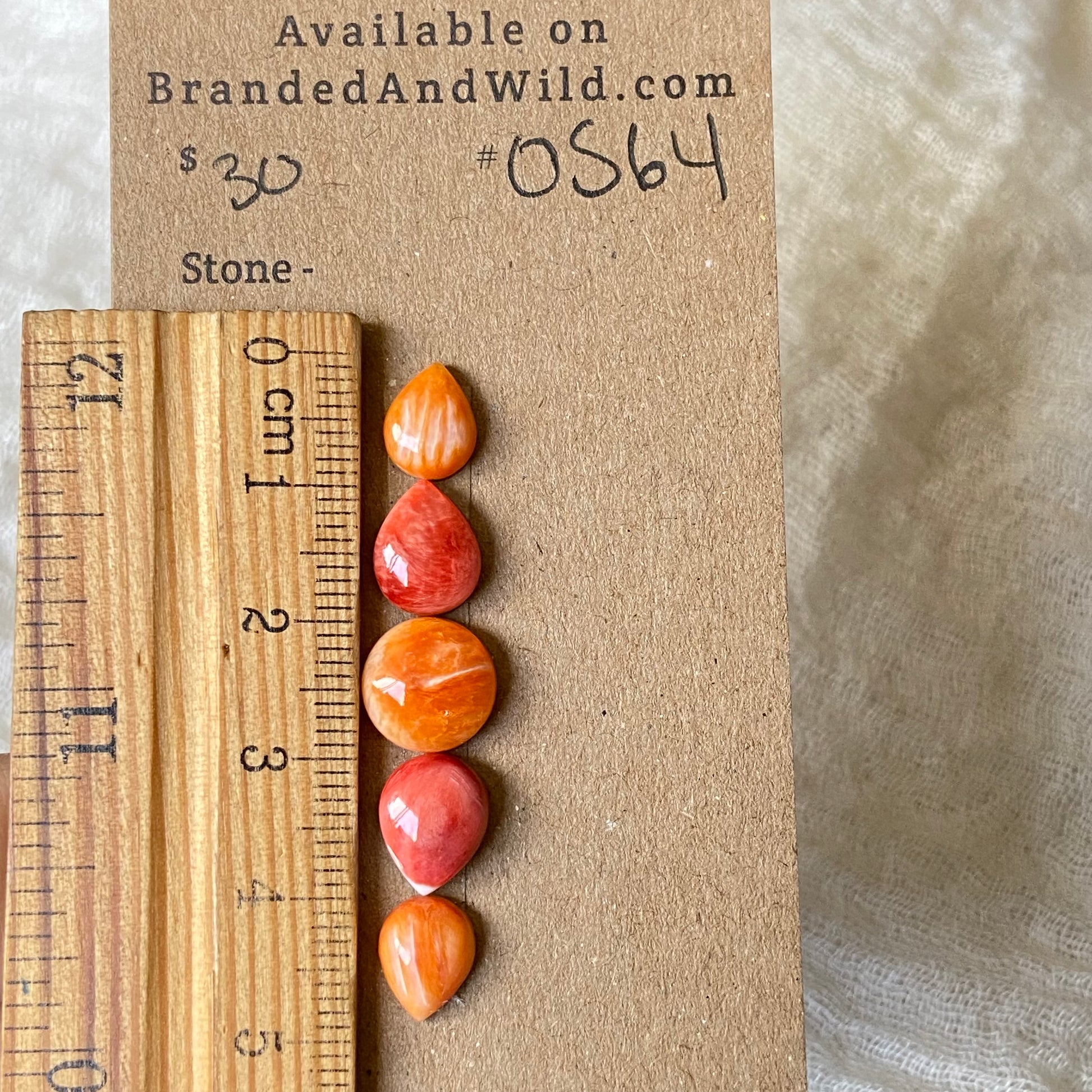 Oystershell Cabochon - OS64 9CC04B11-ADA5-4417-A3A7-C7C80BC94B6E Brandedandwild.com
