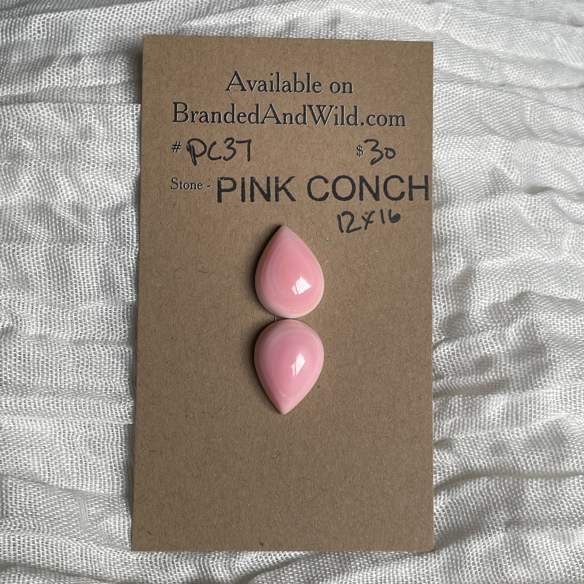 Pink Conch Cabochon - PC37 9CC20AF2-6A4D-4F25-8C21-04BC148A90AE Brandedandwild.com