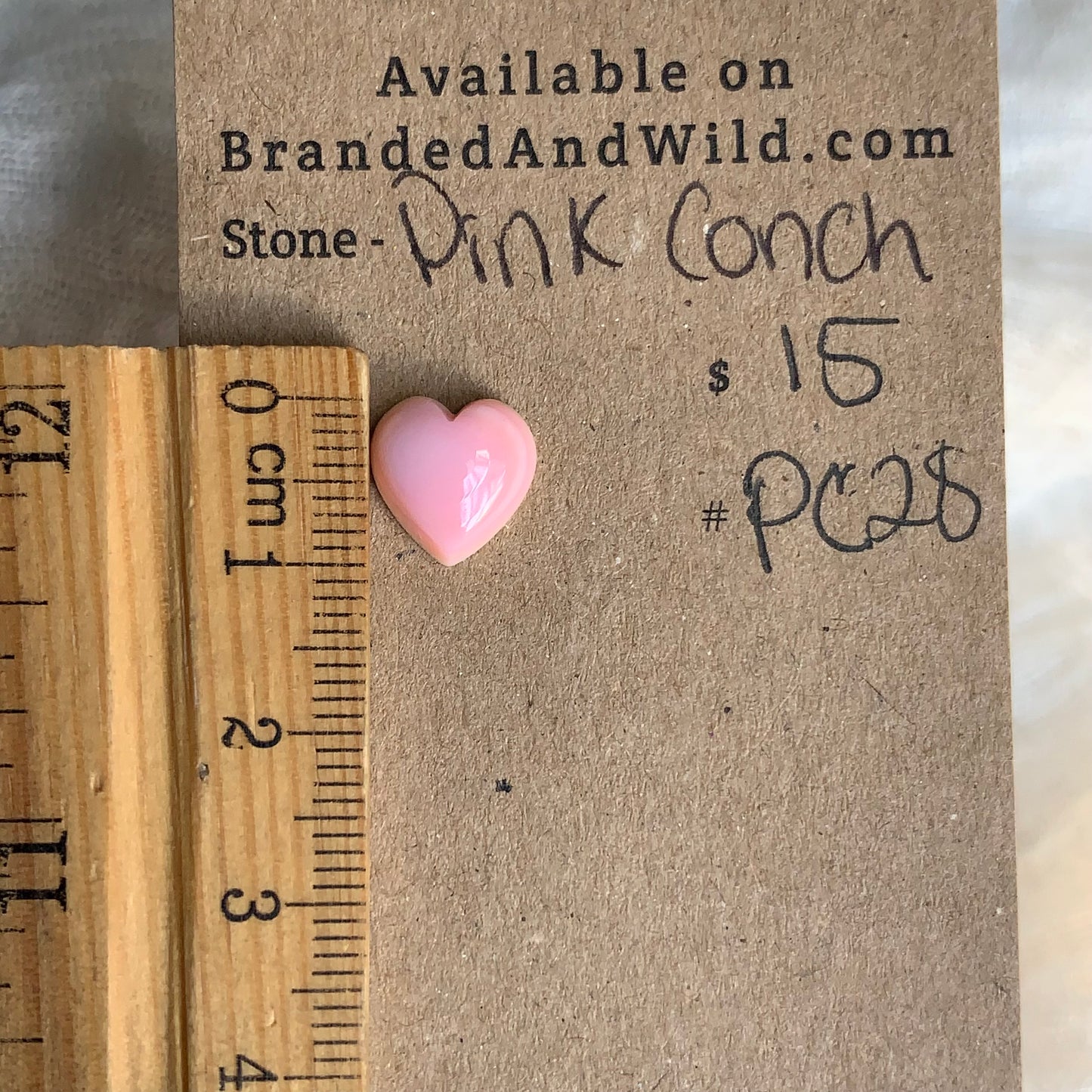 Pink Conch Cabochon - PC28