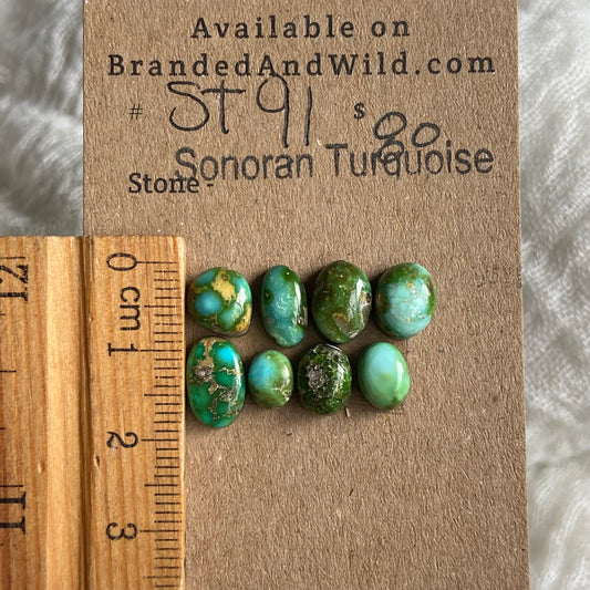 Sonoran Turquoise Cabochon - ST91 9D24C696-5A98-48AD-B34E-6815321F5608 Brandedandwild.com