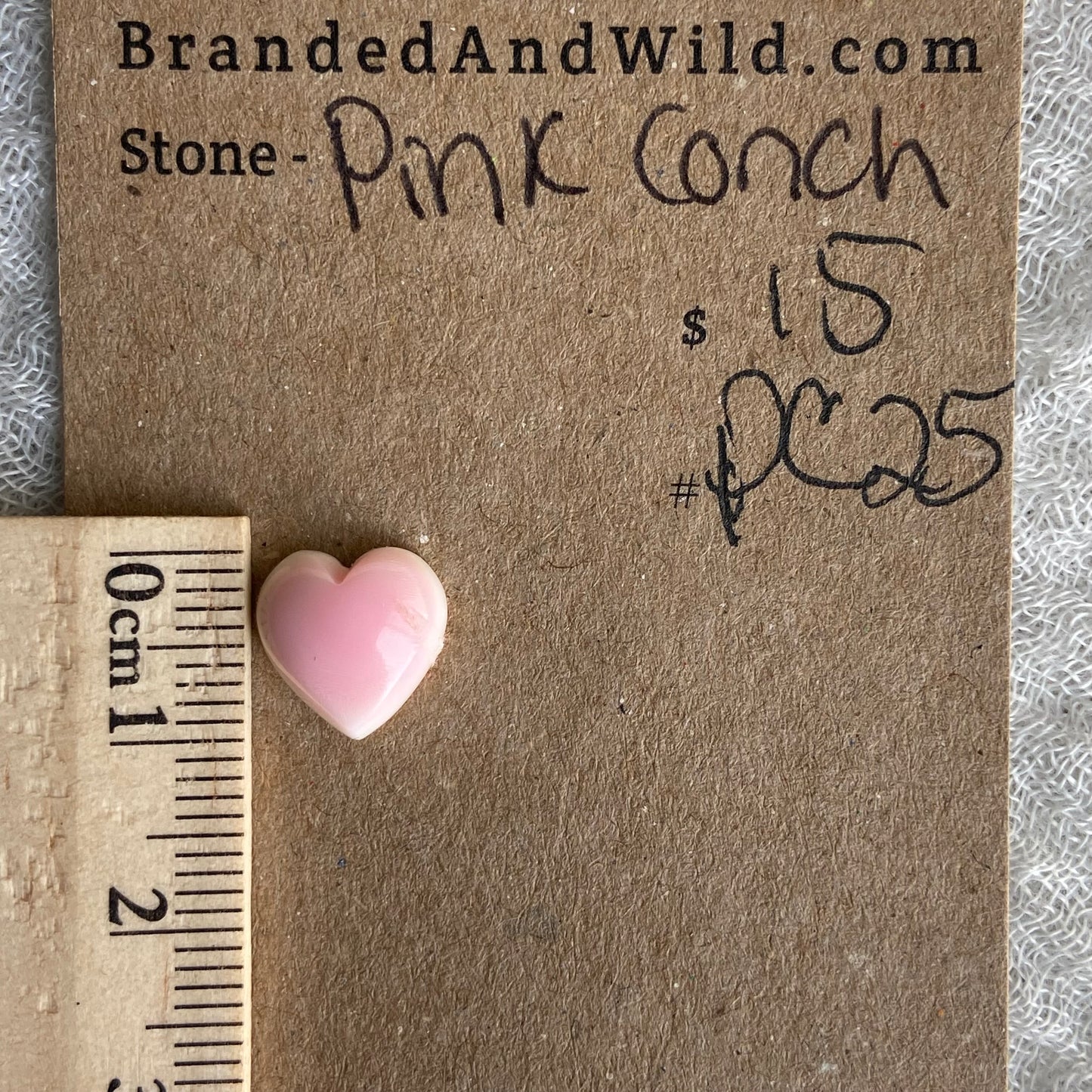 Pink Conch Cabochon - PC25