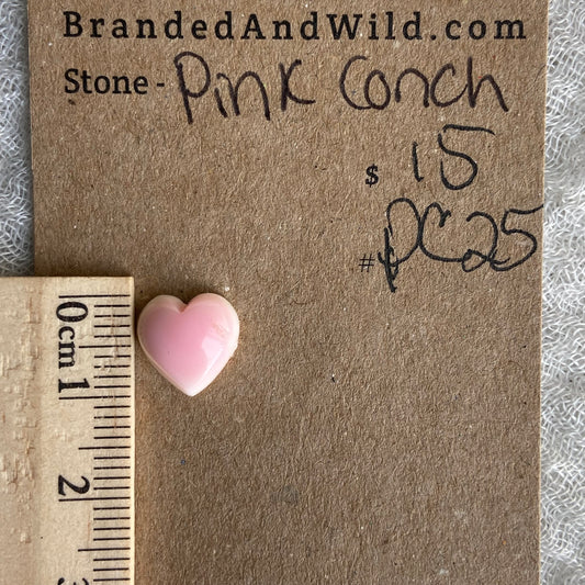 Pink Conch Cabochon - PC25