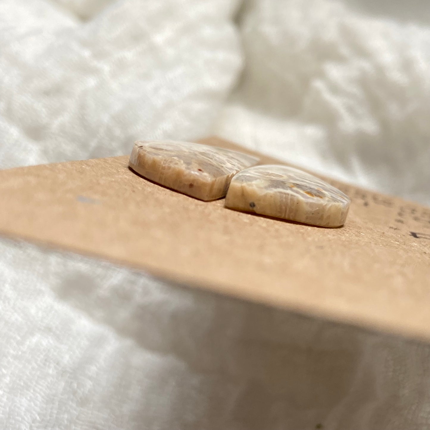 Fossil Coral Cabochon - FC123