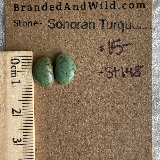 Sonoran Turquoise Cabochon - ST148