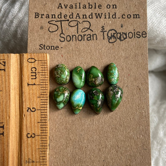 Sonoran Turquoise Cabochon - ST92 9D75BD5B-AD59-460C-8939-ADE8DF693D12 Brandedandwild.com