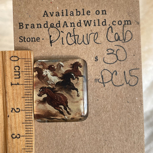 Picture Cabochon - Cabochon - PC15 9D83297B-528E-495A-907E-94BD65C8C5CB Brandedandwild.com
