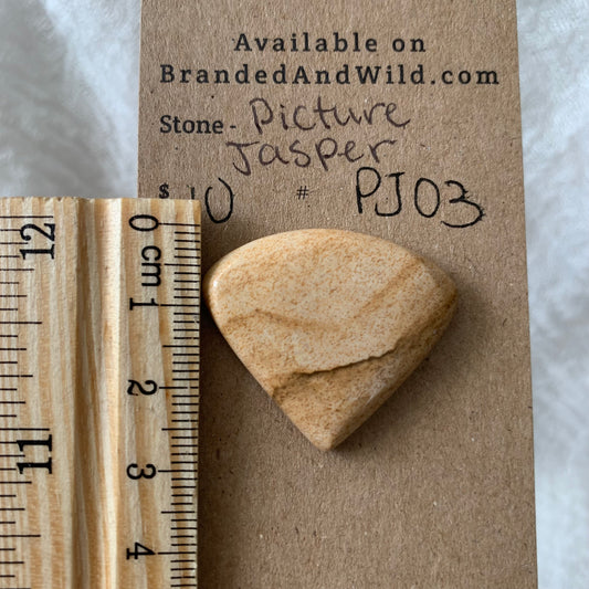 Picture Jasper cabochon - PJ03