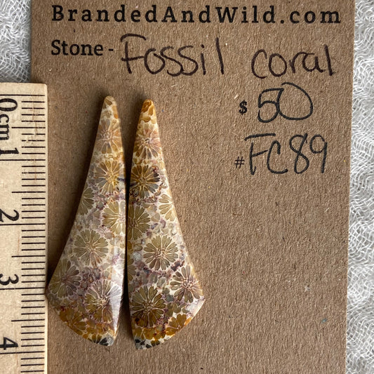 Fossil Coral Cabochon - FC89