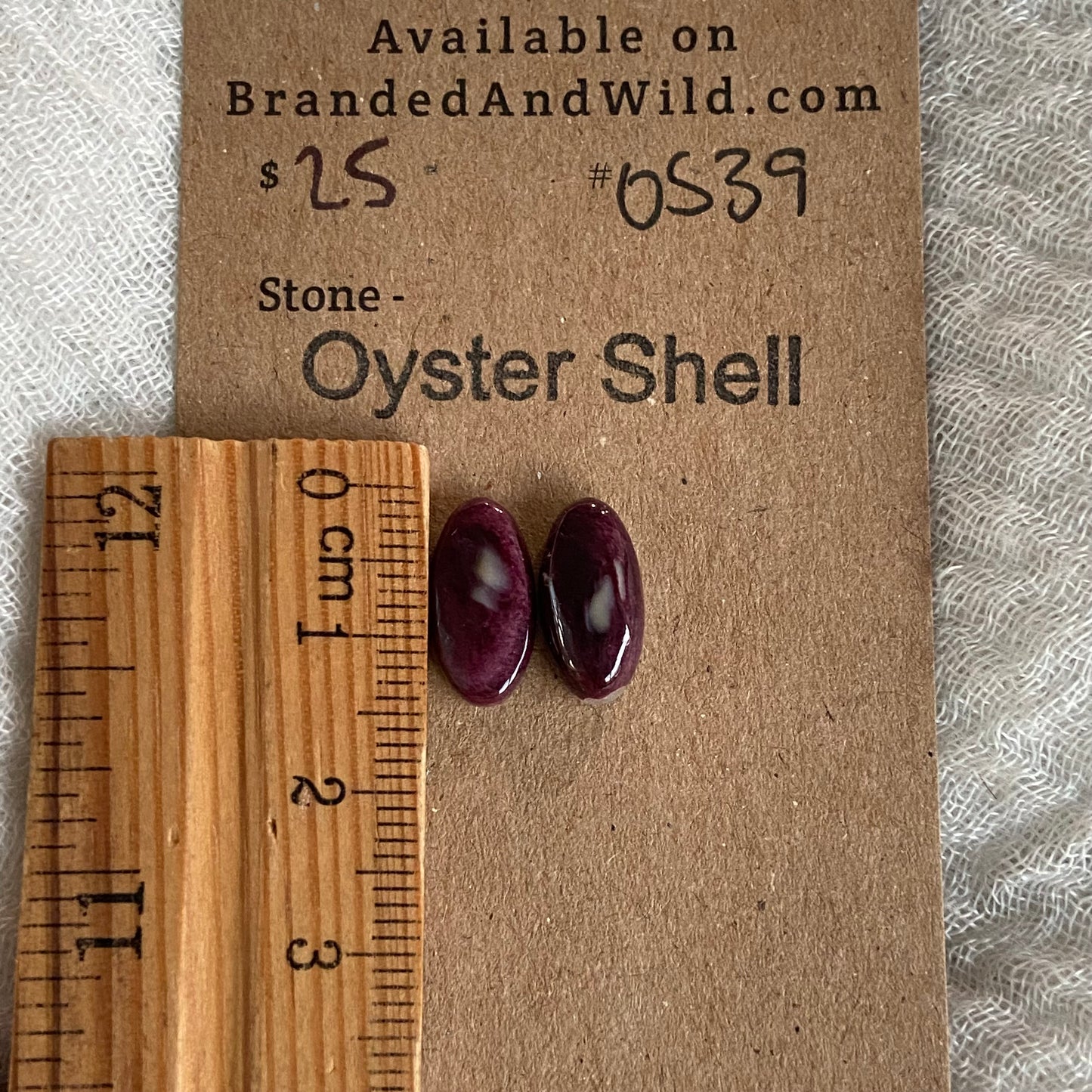 Oyster Shell Cabochon - OS39
