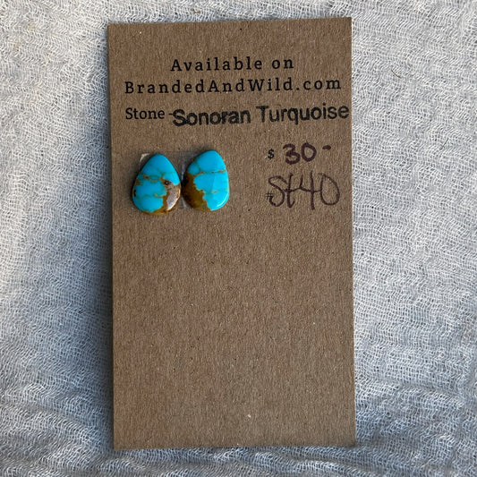 Sonoran Turquoise Cabochon - ST40