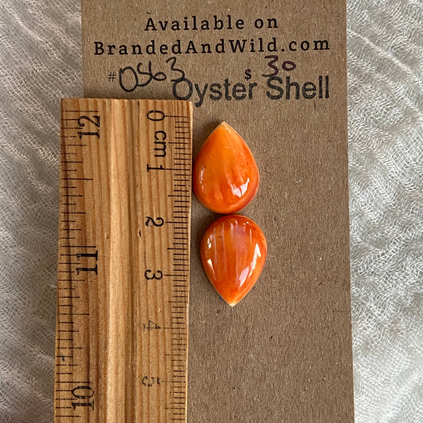 Oyster Shell Cabochon - OS63