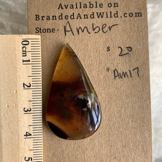 Amber Cabochon AM17