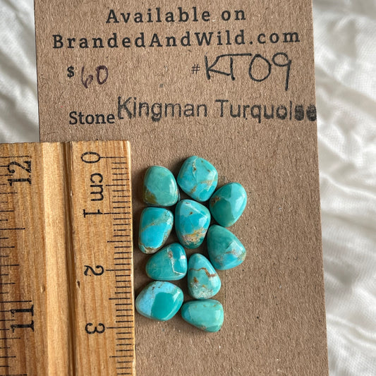 Kingman Turquoise Cabochon - KT09 9E36C618-145D-4411-B66A-E651743F0BFE Brandedandwild.com