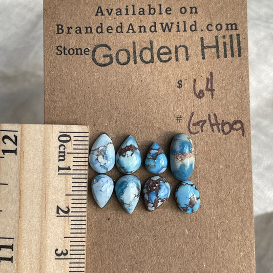 Golden Hill Turquoise Cabochon - GH09