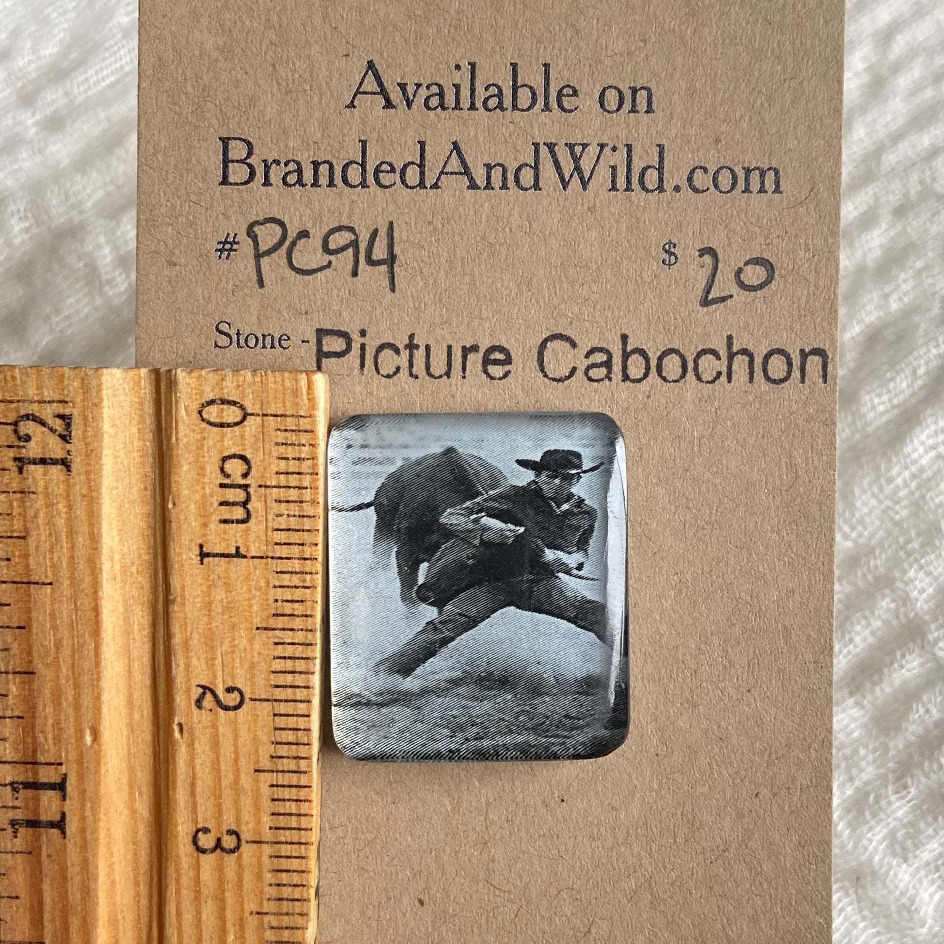 Picture Cabochon - Cabochon - PC94 9E7095C9-4822-46C3-9E7E-6D1EE8459ADF Brandedandwild.com