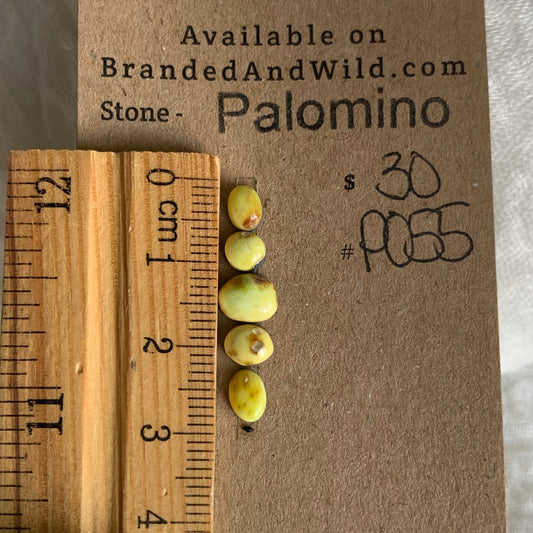 Palomino Cabochon - P055