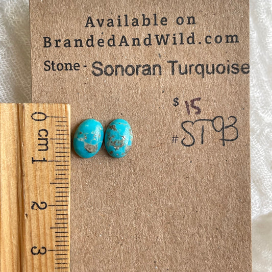 Sonoran Turquoise Cabochon - ST93 9EB59ED4-B5BA-4DA4-864D-804DD17E9DF7 Brandedandwild.com