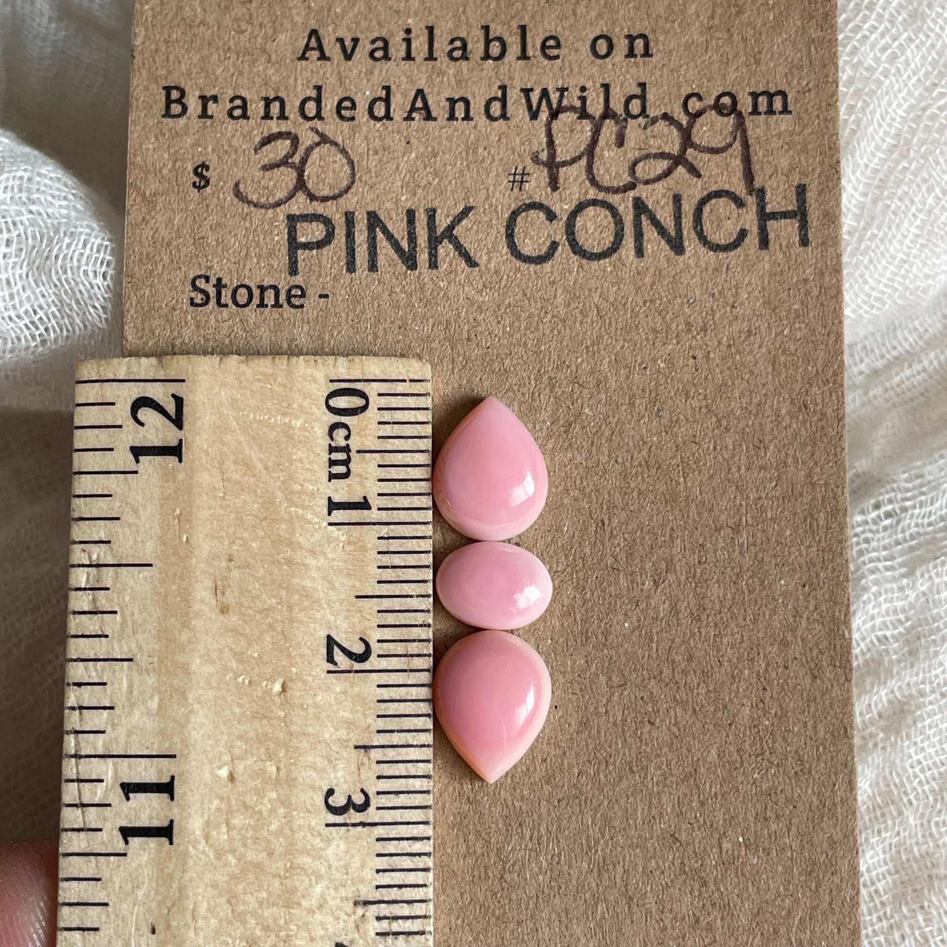 Pink Conch Cabochon - PC29 9EB7A254-535D-43B7-A60F-1C7188F7DE01 Brandedandwild.com