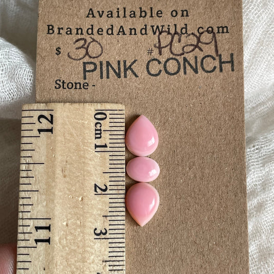 Pink Conch Cabochon - PC29 9EB7A254-535D-43B7-A60F-1C7188F7DE01 Brandedandwild.com