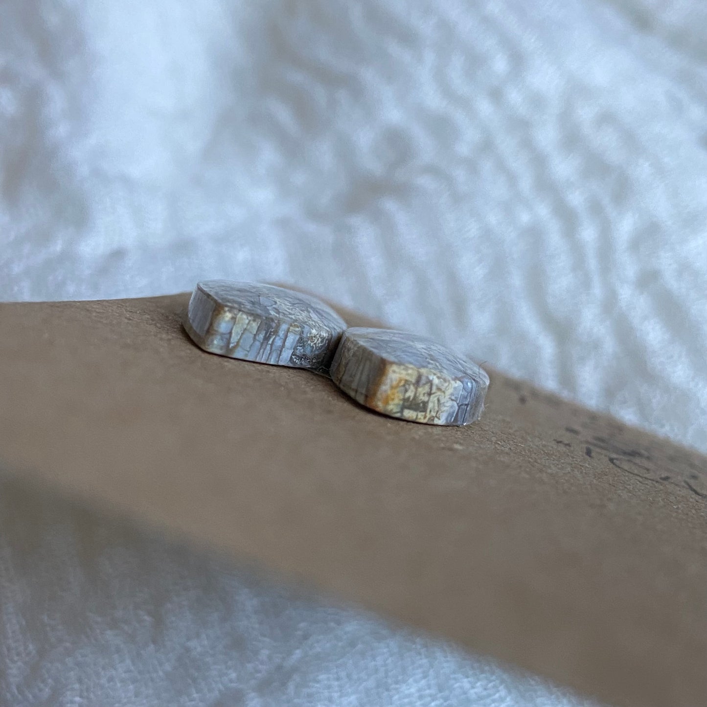 Fossil Coral Cabochon - FC43