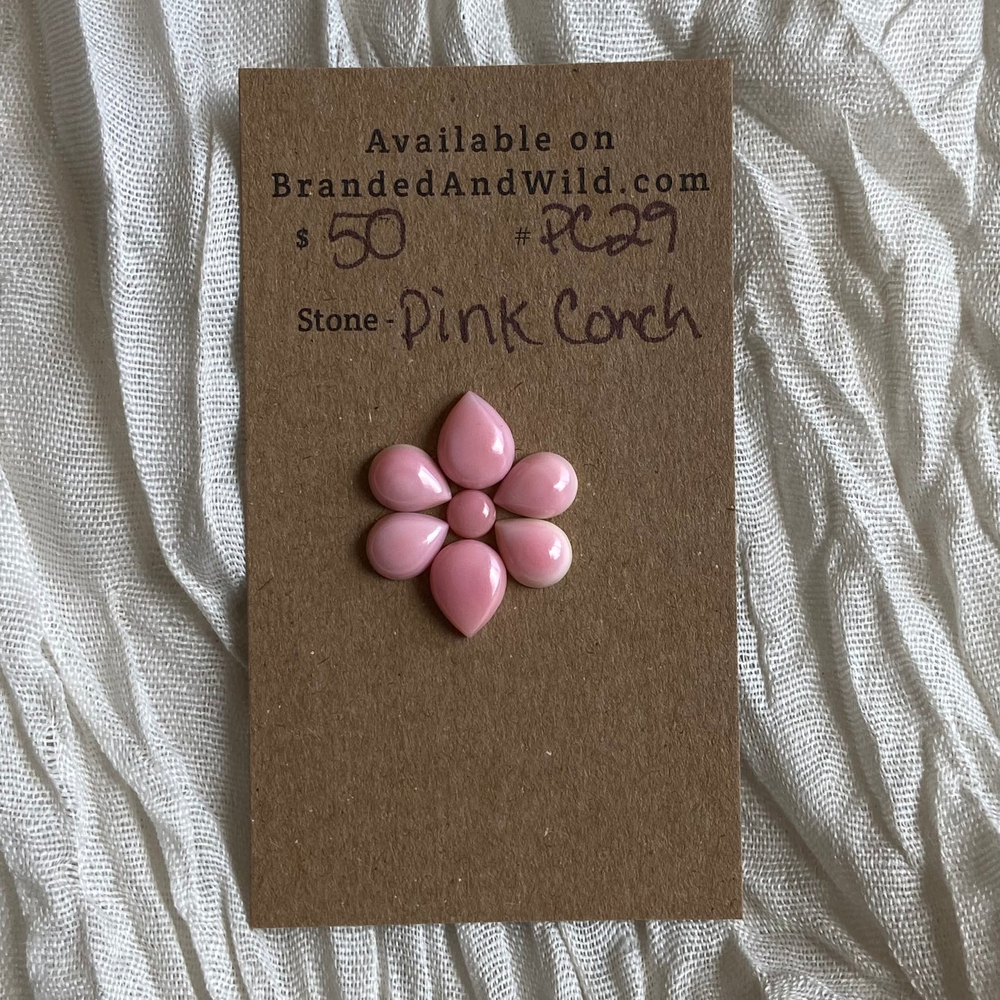 Pink Conch Cabochon - PC29 9ECA525F-8B42-4077-8E6B-BECF851A7F83 Brandedandwild.com