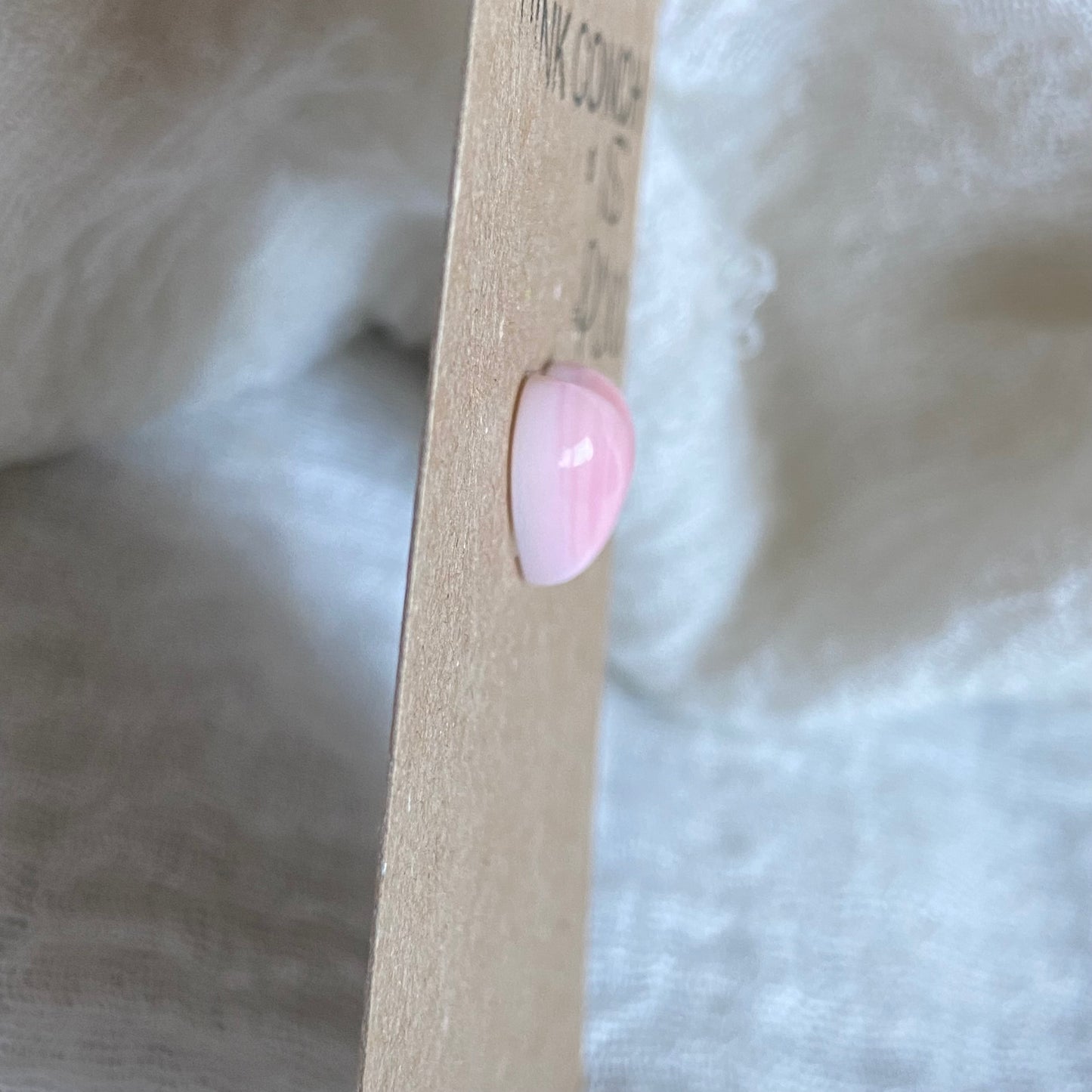Pink Conch Cabochon - PC101