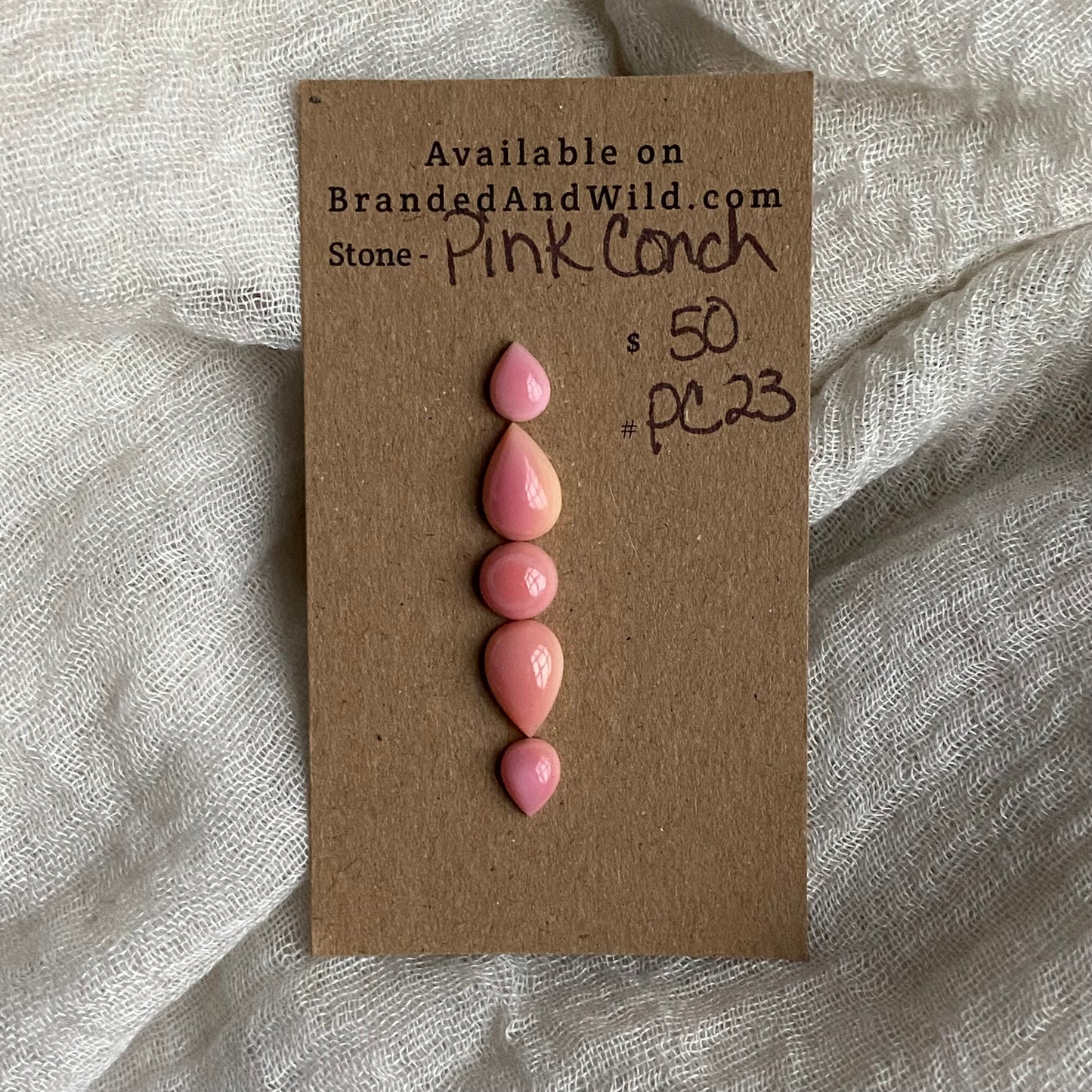 Pink Conch Cabochon - PC23