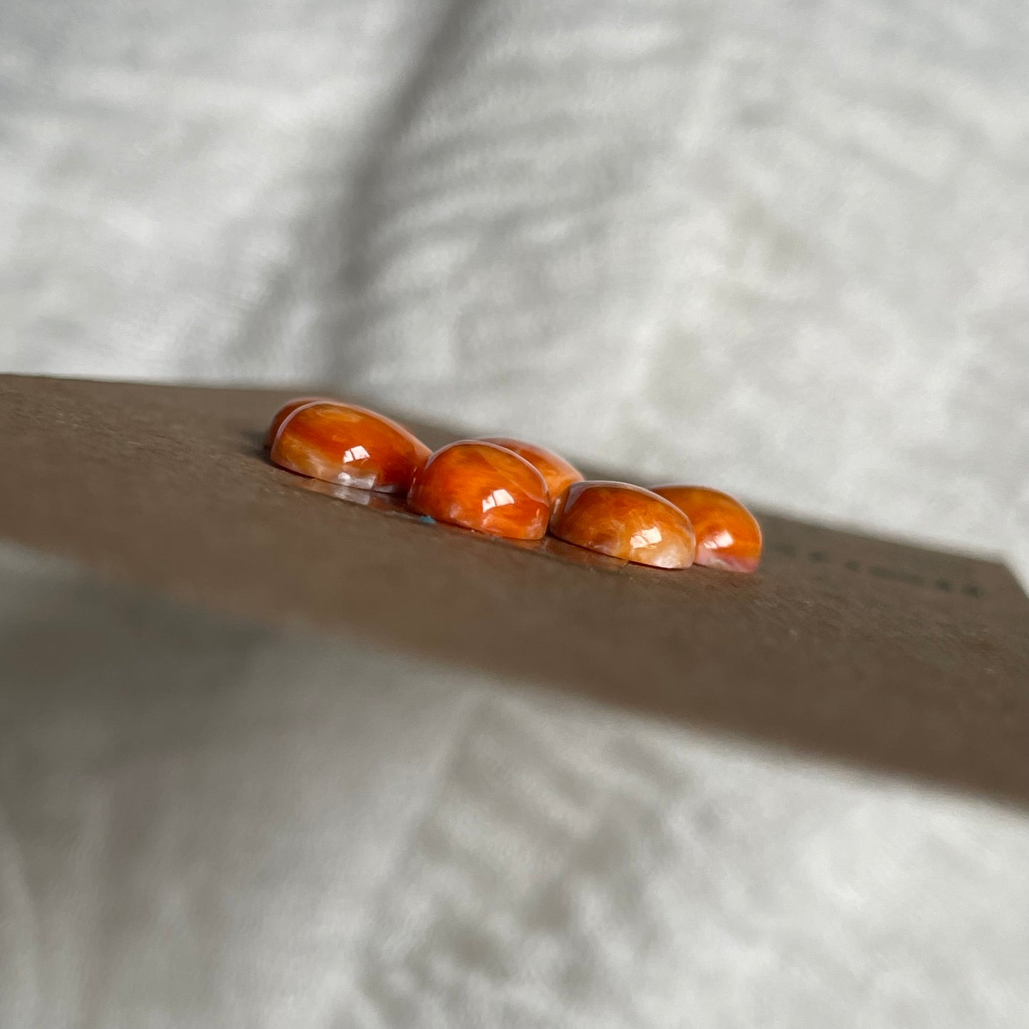Oyster Shell Cabochon - OS46