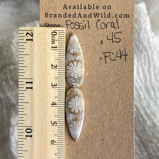 Fossil Coral Cabochon - FC44