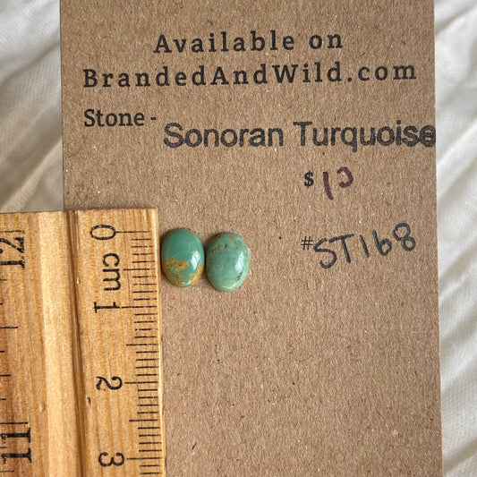 Sonoran Turquoise Cabochon - ST168 9F49586A-B989-4360-B37F-3EA447EC57B2 Brandedandwild.com