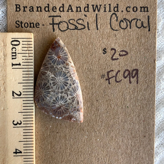 Fossil Coral Cabochon - FC99