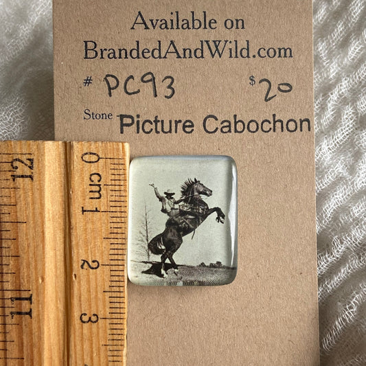 Picture Cabochon - Cabochon - PC93 9F99684E-04C9-4846-BB23-5A3749A13651 Brandedandwild.com