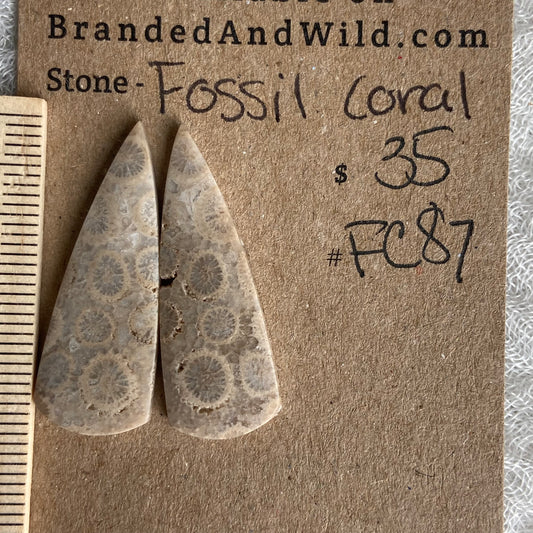 Fossil Coral Cabochon - FC87