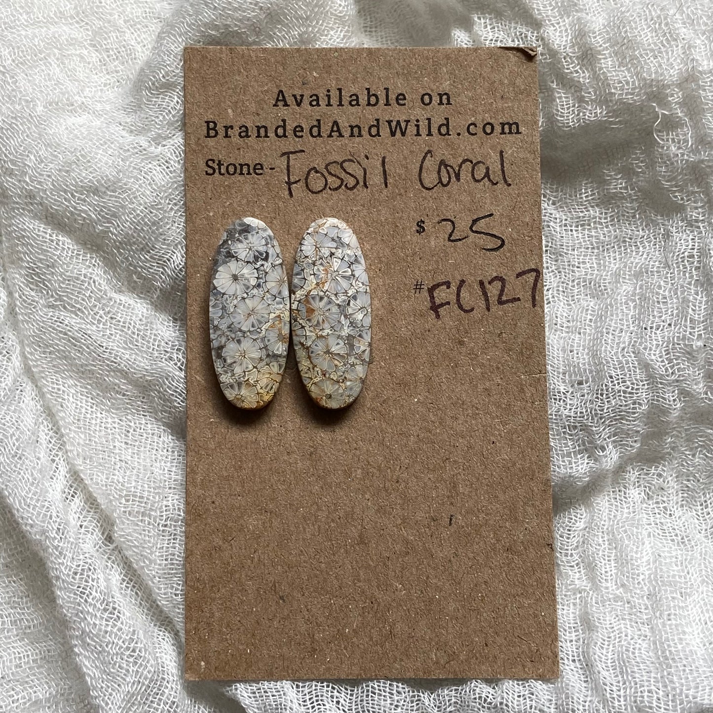 Fossil Coral Cabochon - FC127