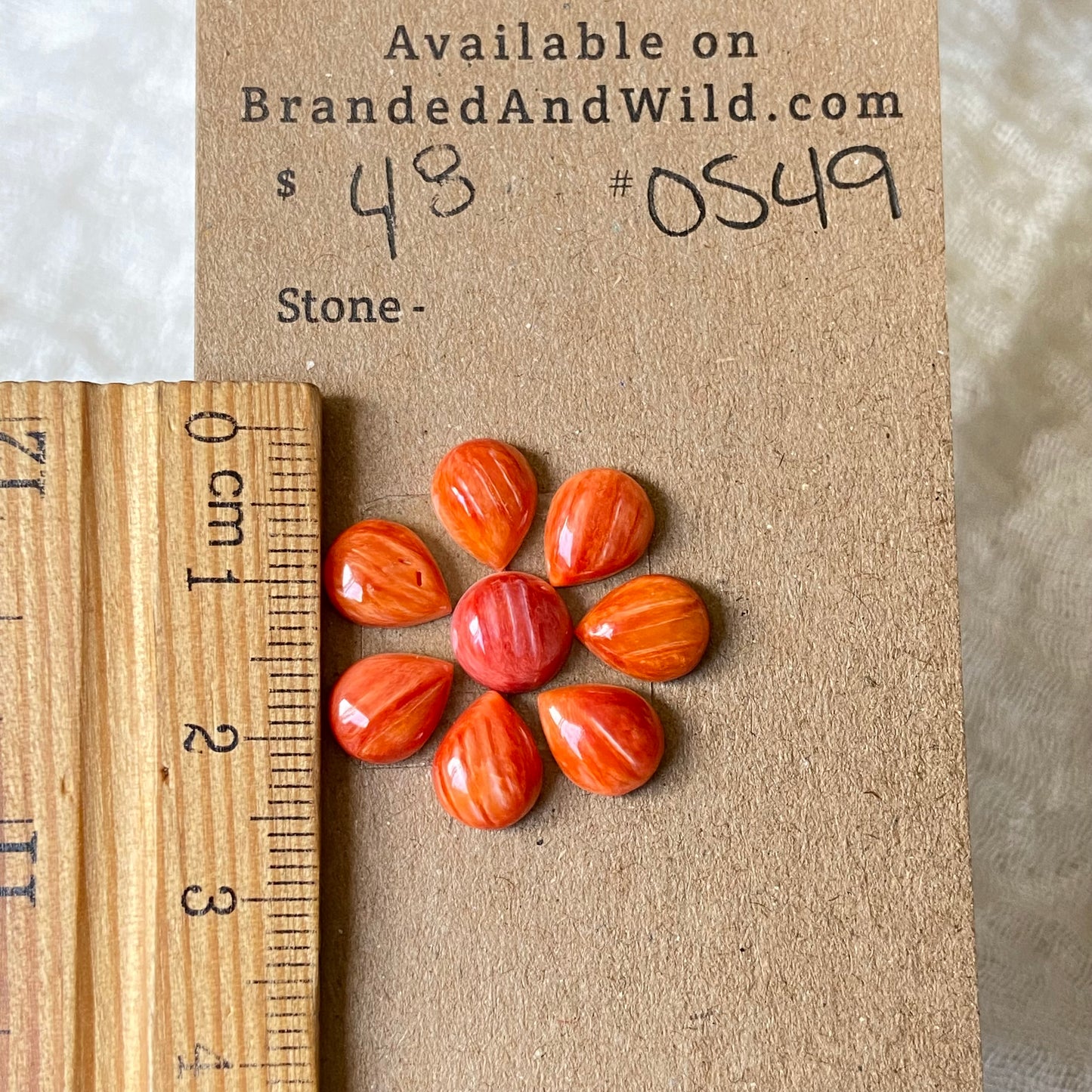Oystershell Cabochon - OS49 9FB0996A-2E32-4175-ACF4-A4A8F909CDF1 Brandedandwild.com