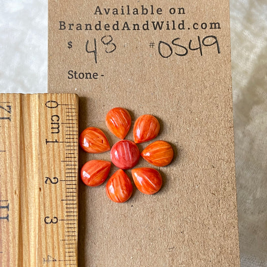 Oystershell Cabochon - OS49 9FB0996A-2E32-4175-ACF4-A4A8F909CDF1 Brandedandwild.com