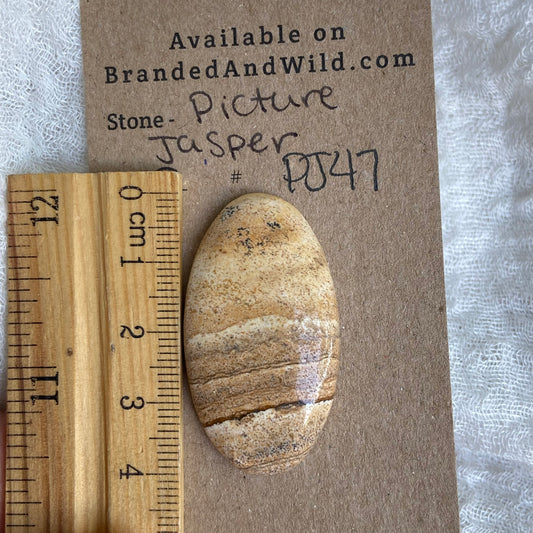 Picture Jasper Cabochon - PJ47