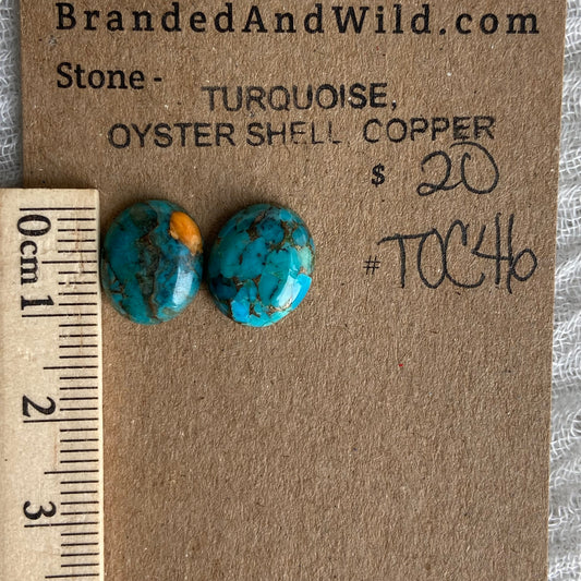 Turquoise, Oyster Shell, Copper - TOC46