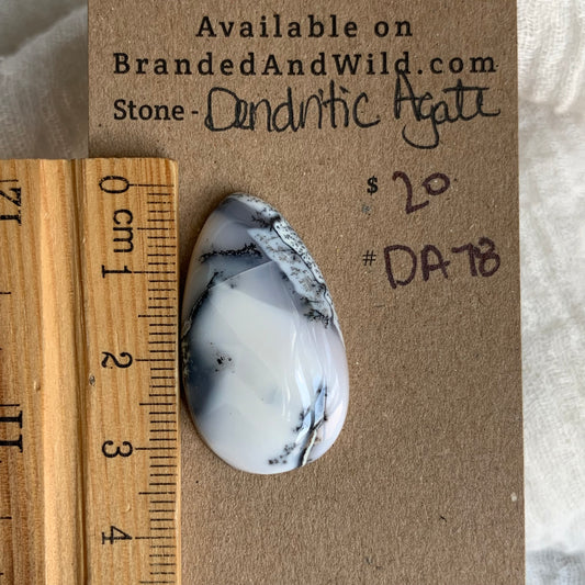 Dendritic Agate Cabochon - DA78