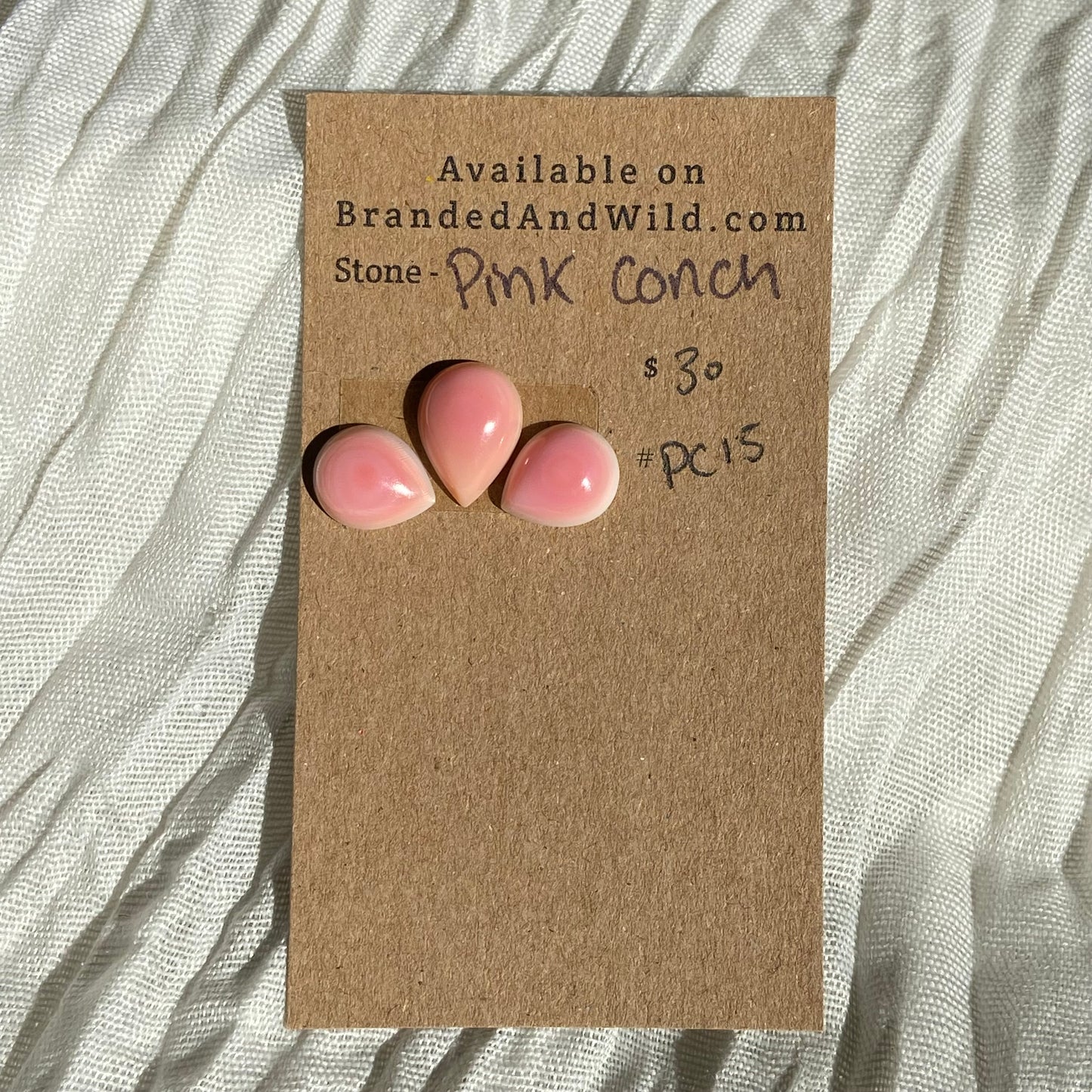 Pink Conch Cabochon - PC15 A023B821-294C-4B59-A66F-00974319D58F Brandedandwild.com