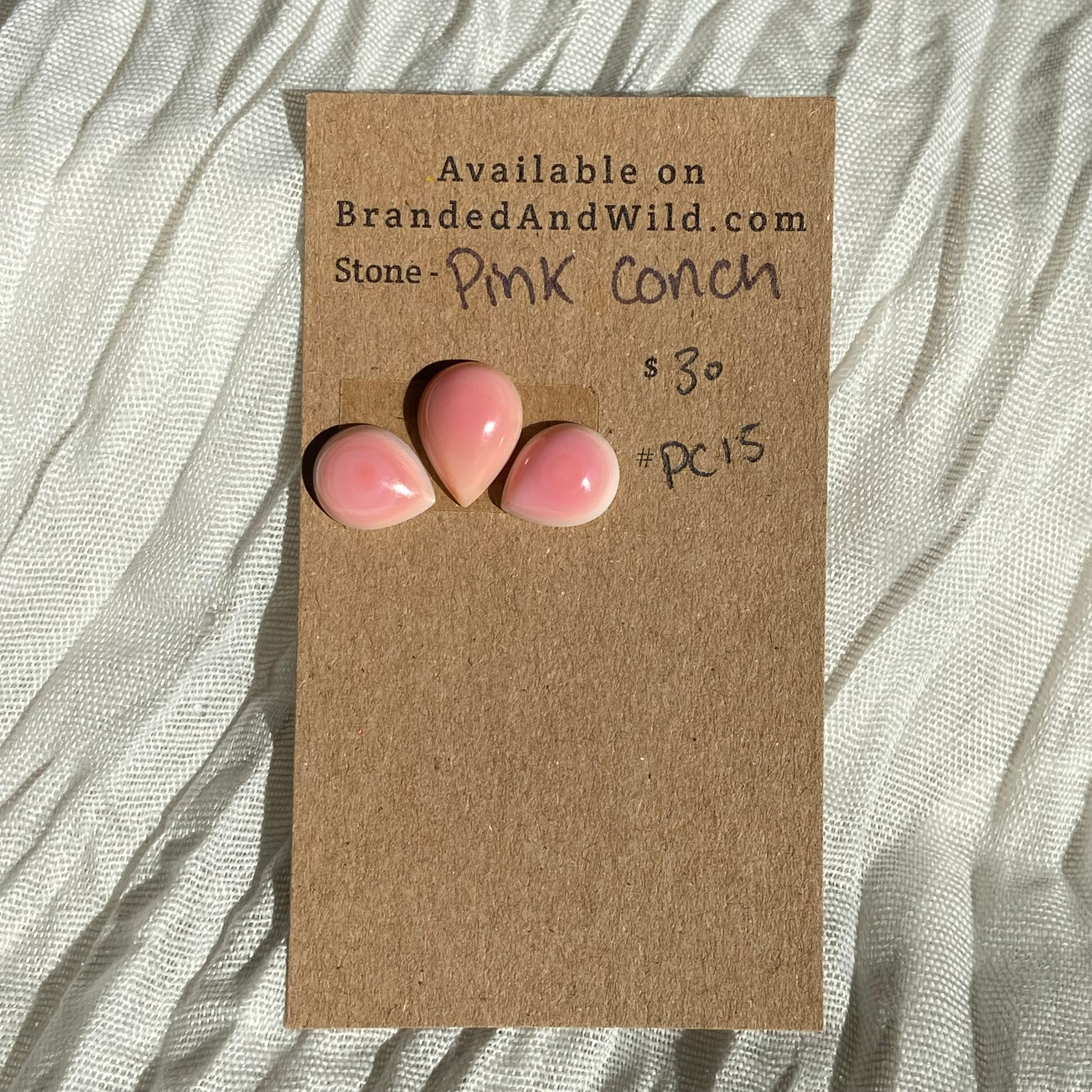 Pink Conch Cabochon - PC15 A023B821-294C-4B59-A66F-00974319D58F Brandedandwild.com