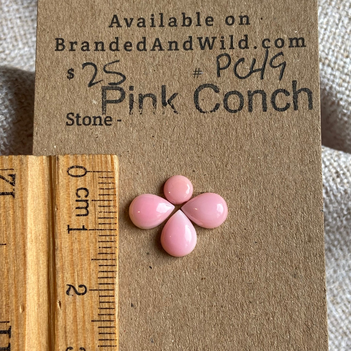 Pink Conch Cabochon - PC49 A02E0E29-63D0-4D80-956D-42DFAA9FBE7F Brandedandwild.com