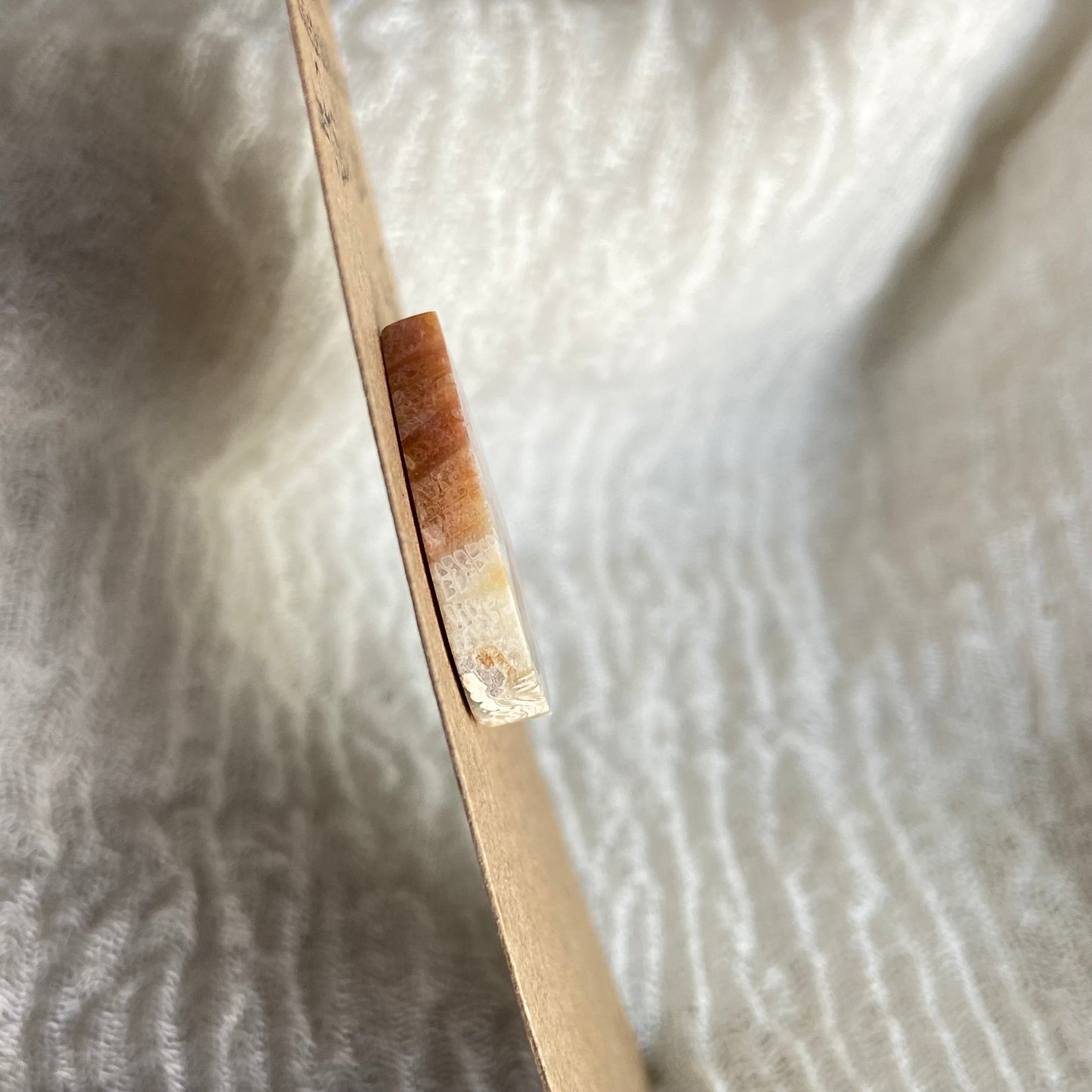 Fossil Coral Cabochon - FC61