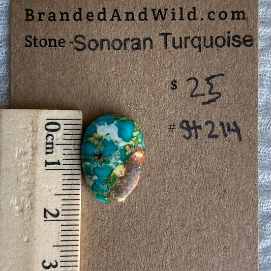 Sonoran Turquoise Cabochon - ST214
